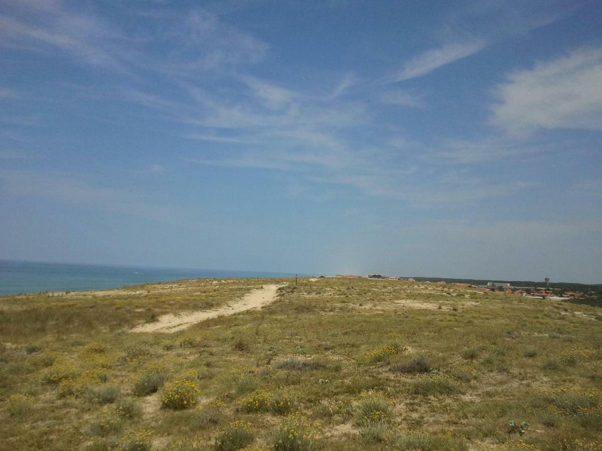 La Pinede Oceane,400M Des Plages Mimizan-Plage Buitenkant foto