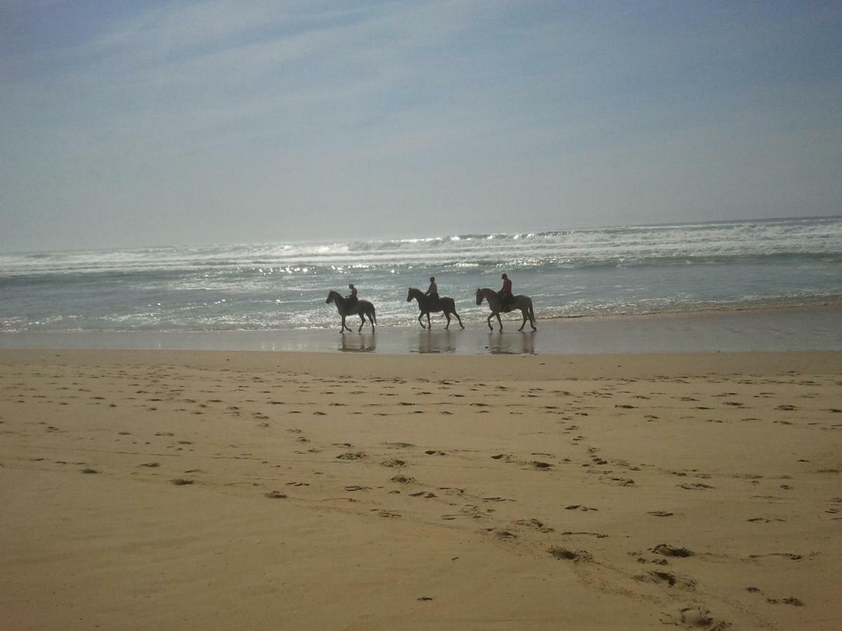 La Pinede Oceane,400M Des Plages Mimizan-Plage Buitenkant foto