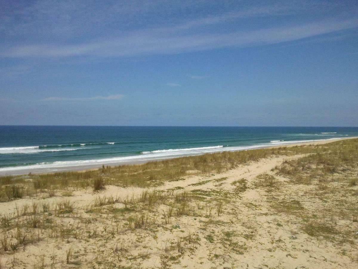 La Pinede Oceane,400M Des Plages Mimizan-Plage Buitenkant foto